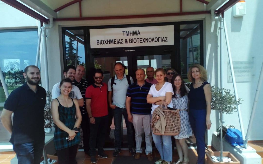 The Meeting of the 1st year of activities of the Minotaur research project